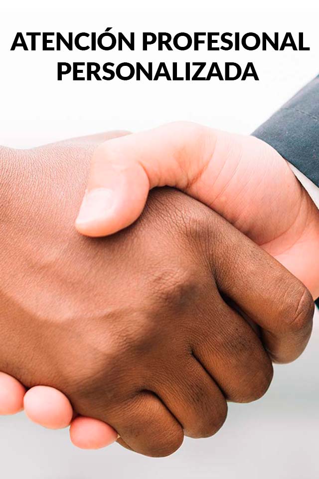 Tu Diseñador Web Personal en Querétaro